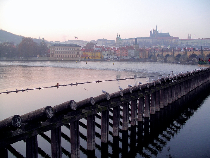 IMGP3276.JPG - Karlsbrücke und Prager Burg