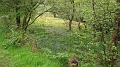 IMG_0097