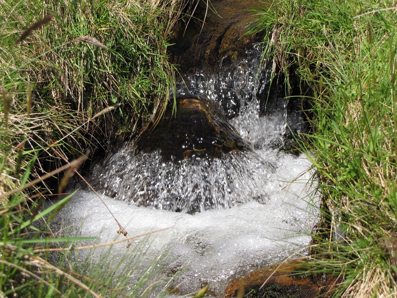 IMG_0836.JPG - Frisches Wasser ist bei der (mittlerweile unangenehmen) Hitze sehr willkommen