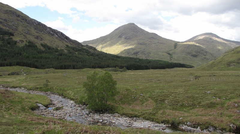 IMG_0164.JPG - Der Wald nahe Strathan, in derMitte ist Fraoch Bheinn zu sehen.